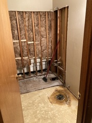 Bathroom Demolition3